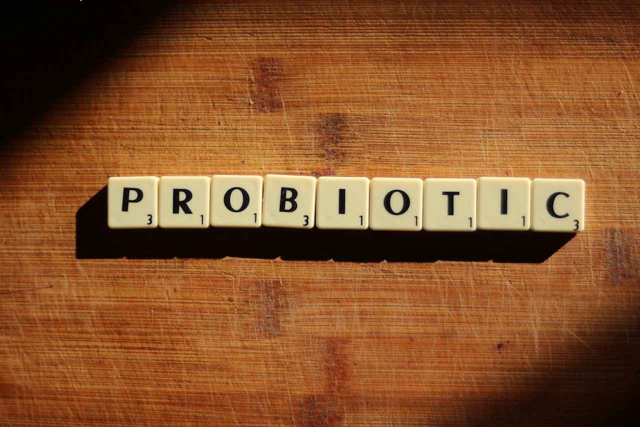 Sources of Lactobacillus Plantarum
