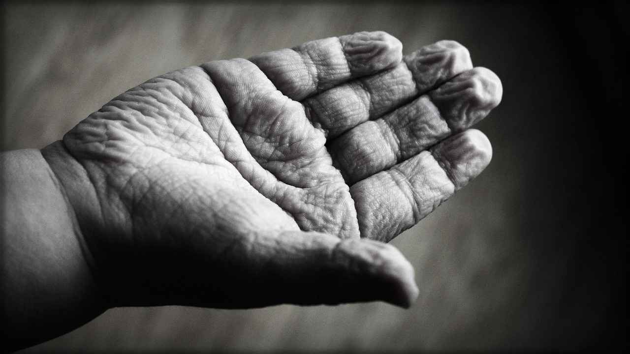 Harnessing the Anti-Aging Effects of Carnosine