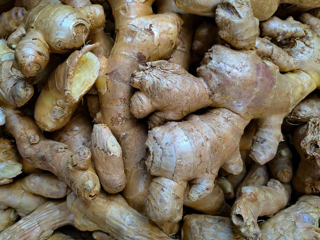 Potential Side Effects of Goldenseal