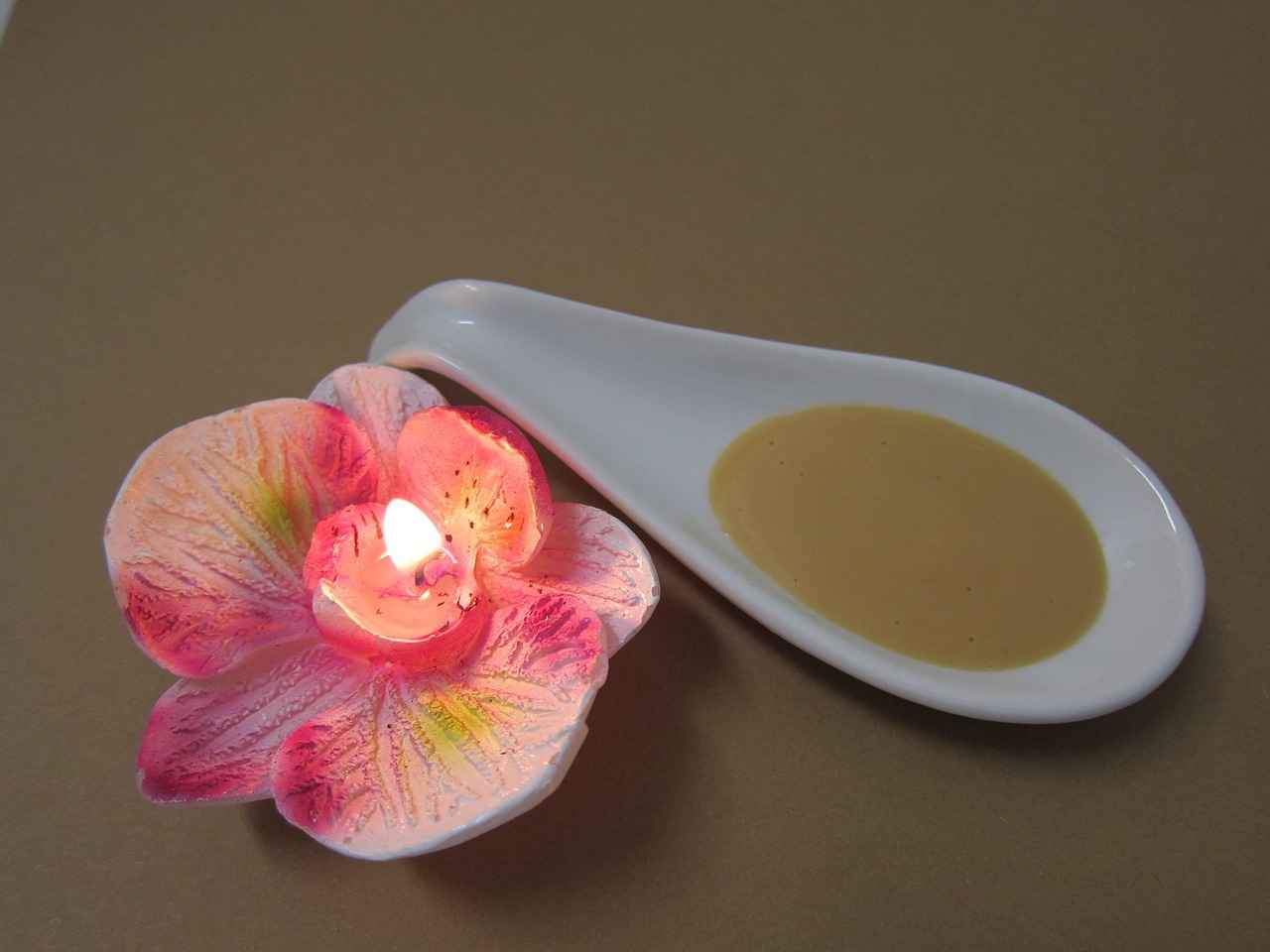 Sources of Lecithin