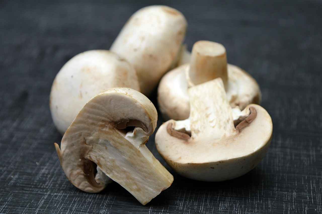 Potential Side Effects of Reishi