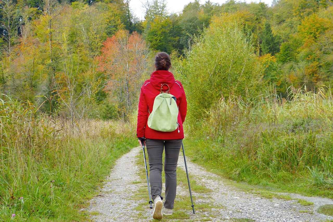 How Does Black Cohosh Work?