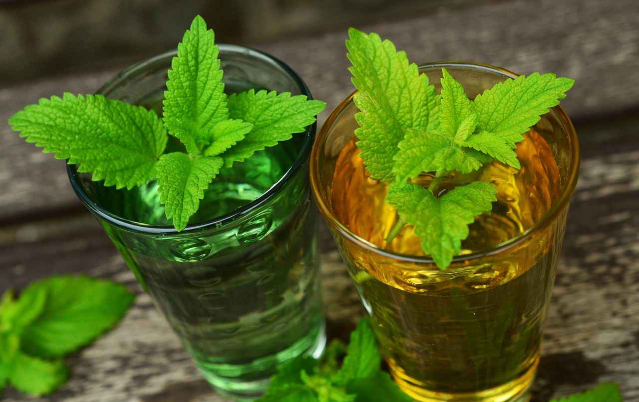 Supporting Sleep and Relaxation with Lemon Balm