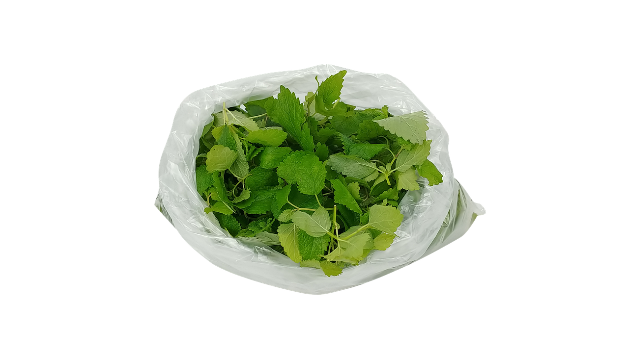 What is Lemon Balm?