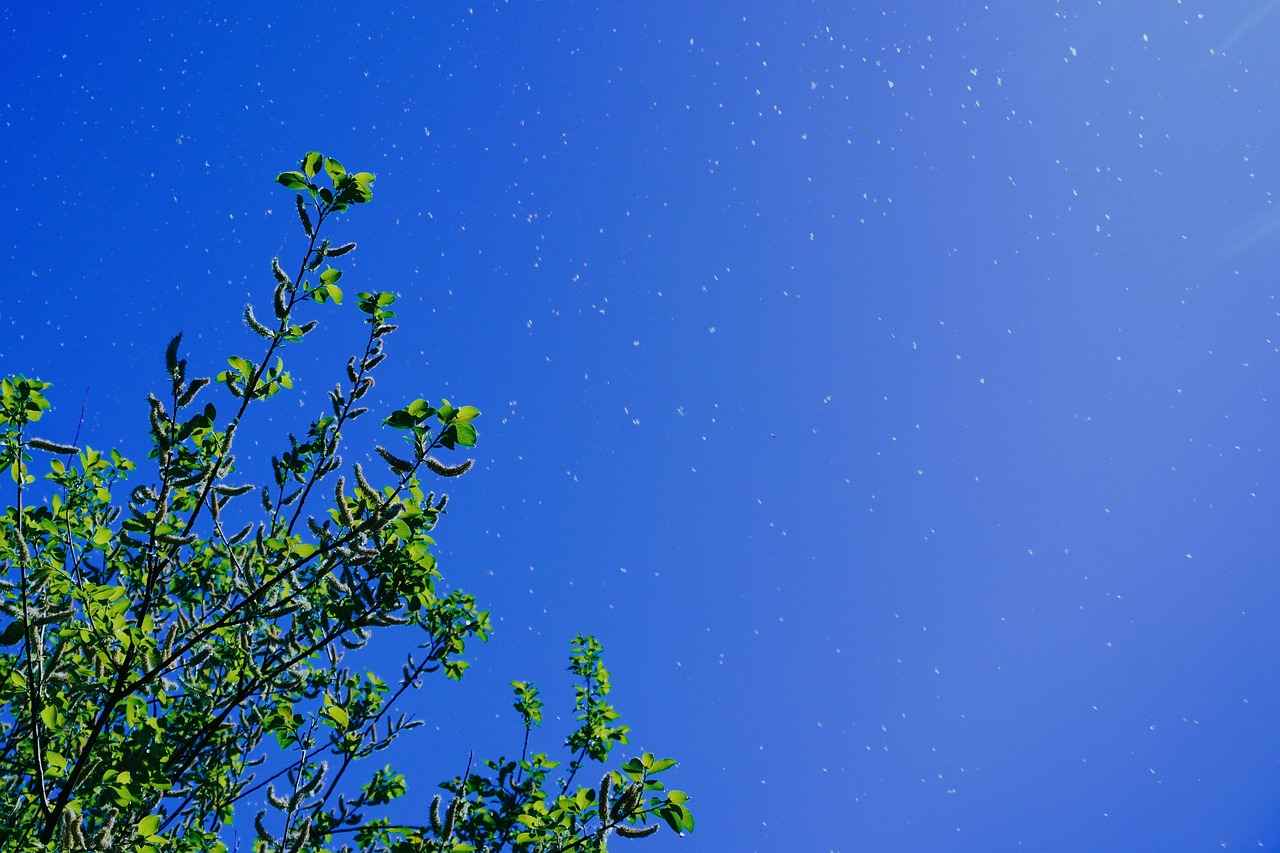 The Benefits of Quercetin for Allergies and Inflammation