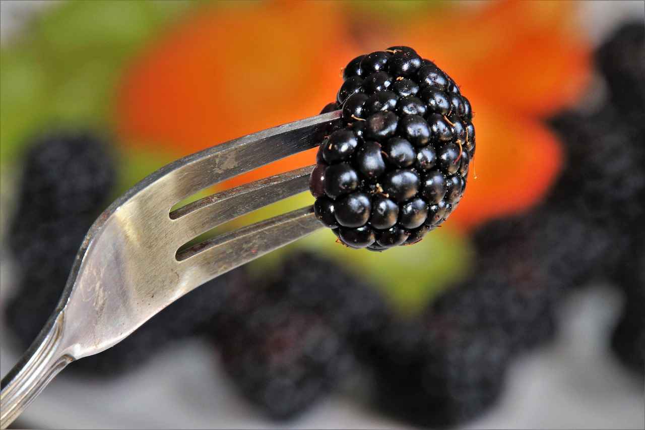 What is Quercetin?