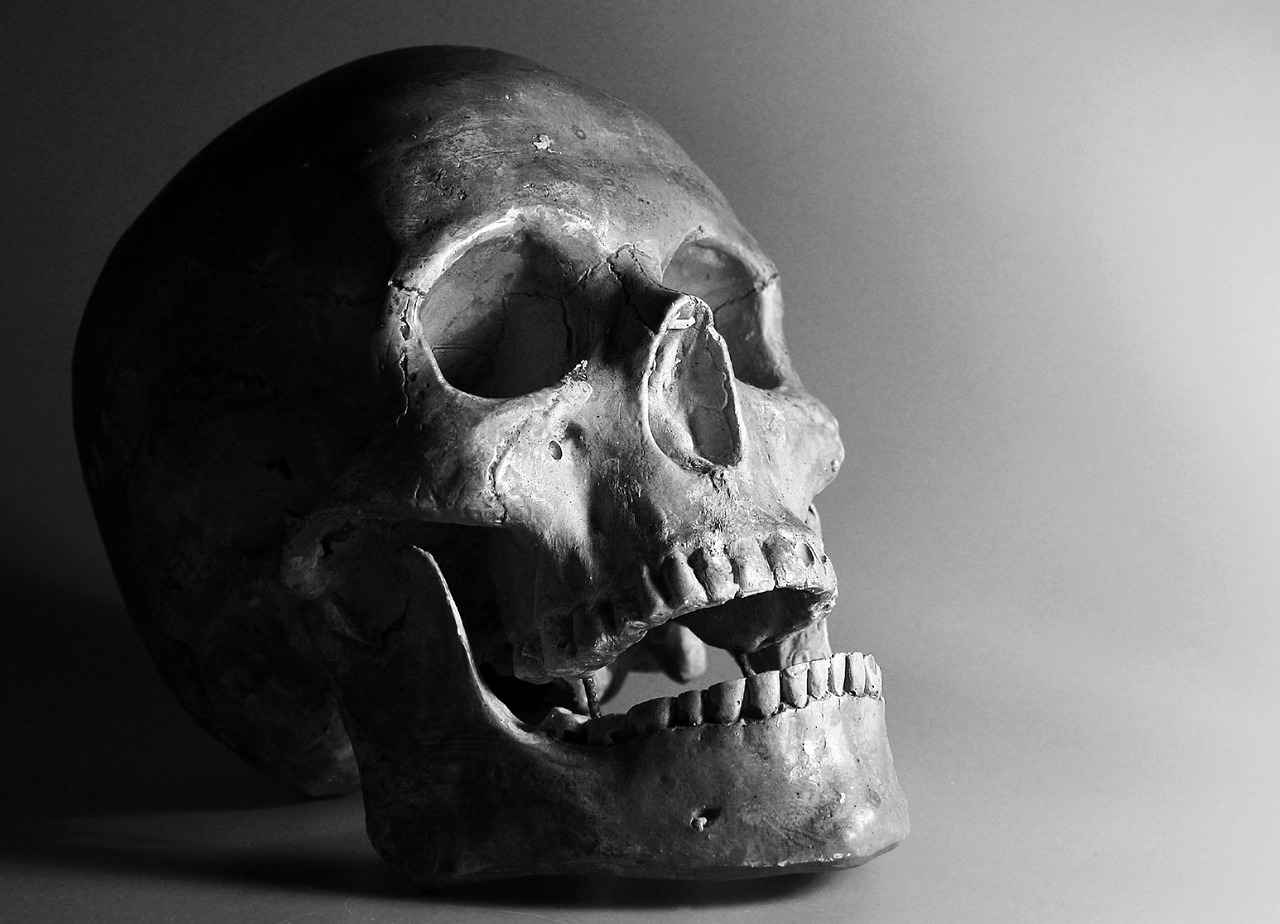 Conclusion: The Future of Strontium in Bone Health