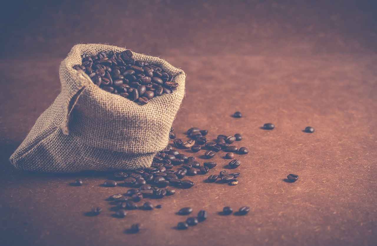 What is Green Coffee Bean Extract?