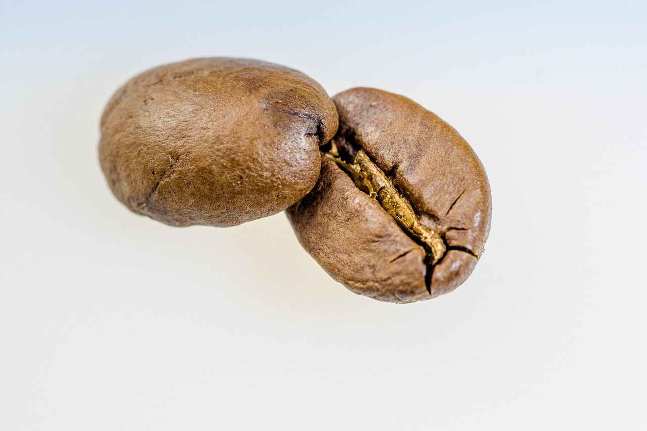 Choosing the Right Green Coffee Bean Extract