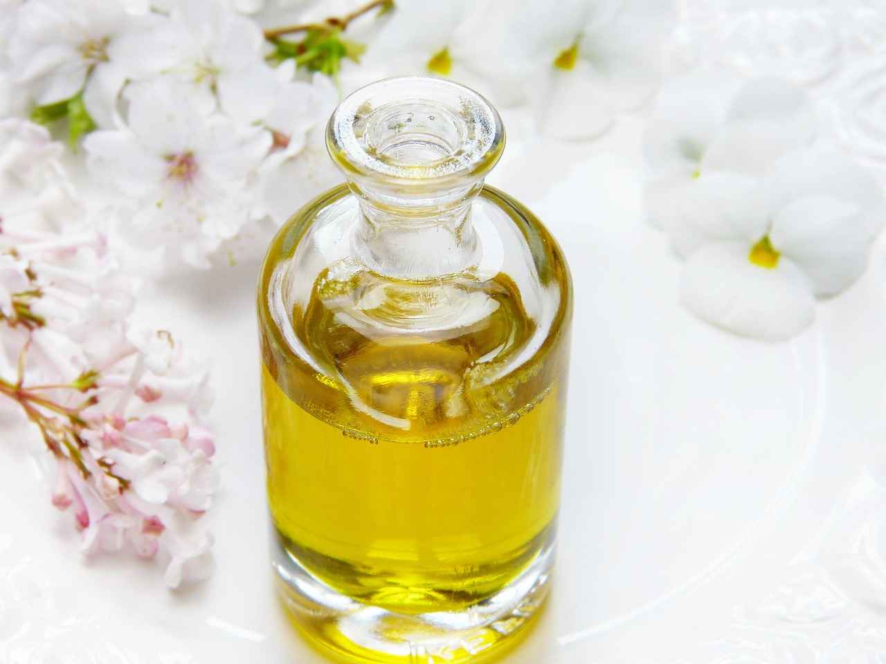 Olive Extracts and Inflammation Reduction