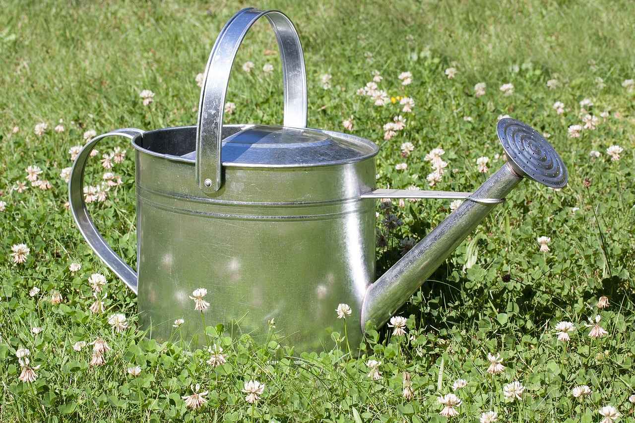What is Zinc and Why is it Important?