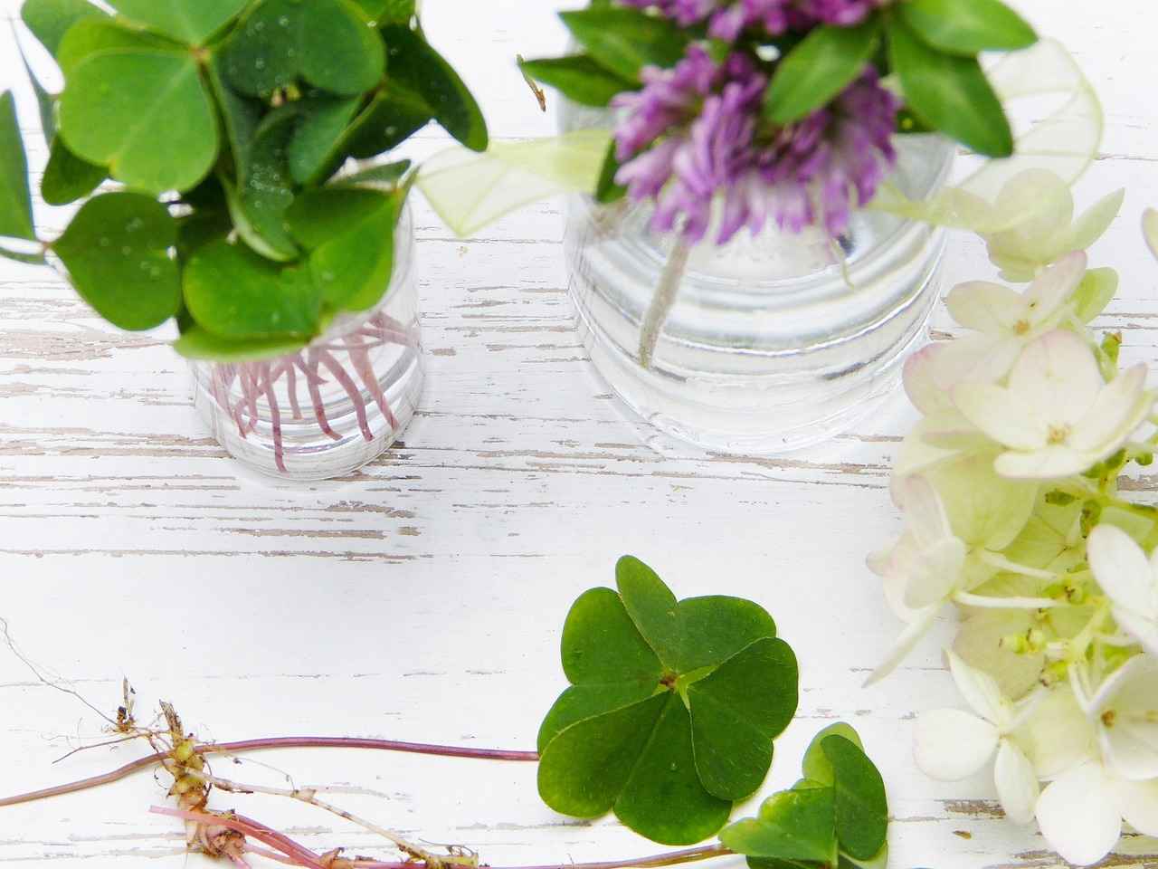 Conclusion: Unlocking the Power of Coenzyme Q10 for Radiant Skin