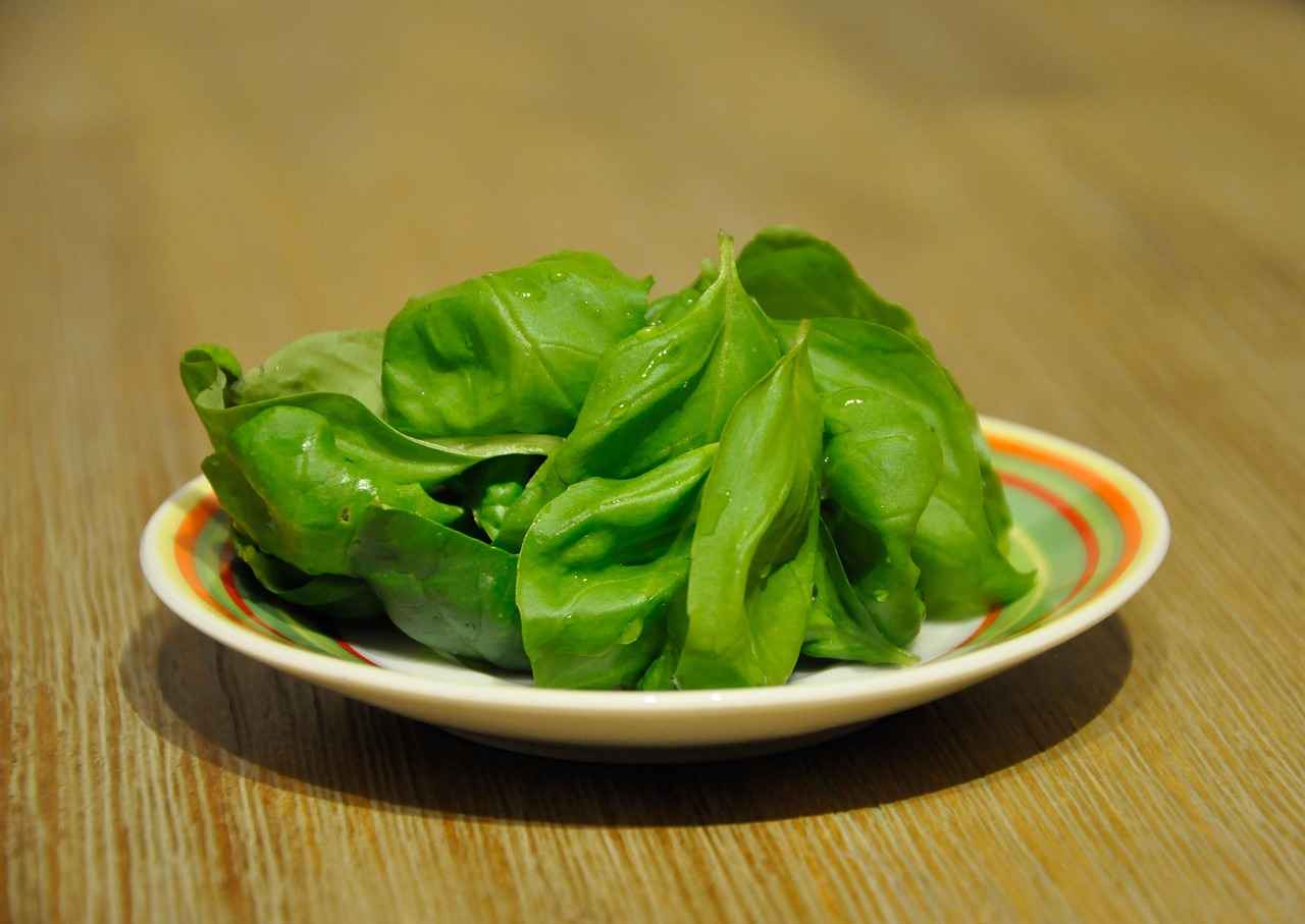 Conclusion: Embracing Holy Basil for Stress Relief