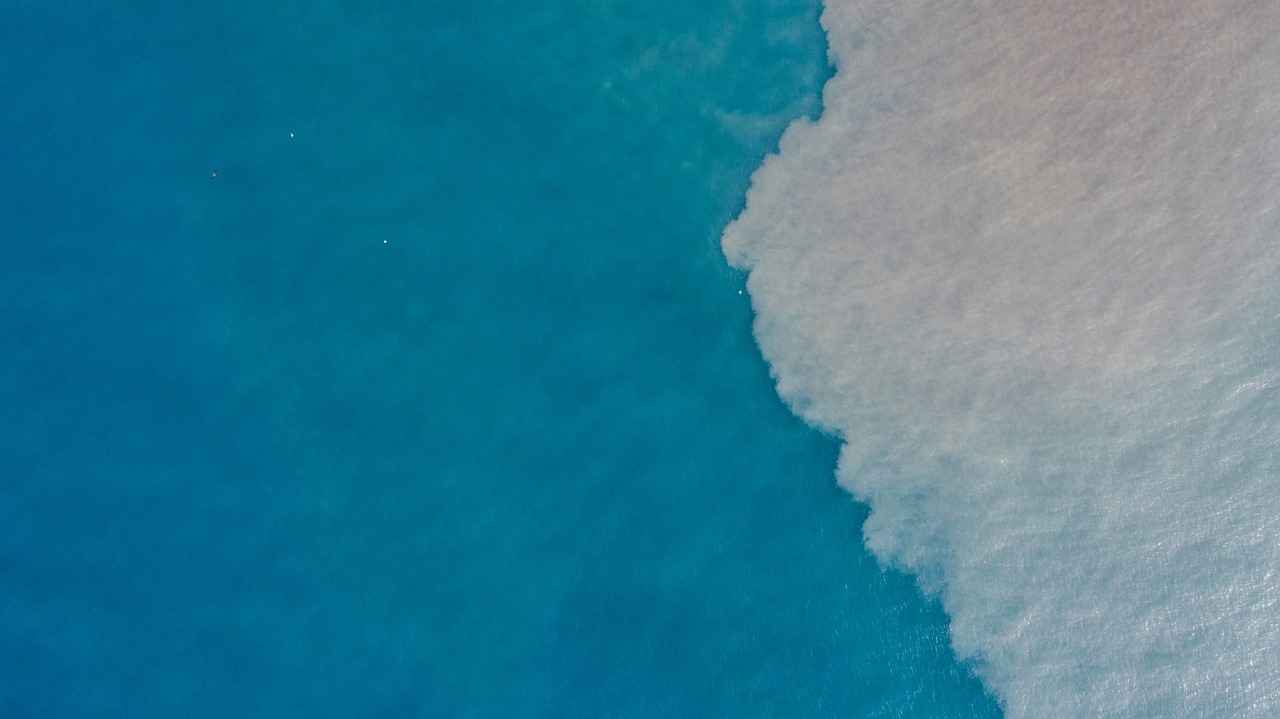 What is Sea Kelp?