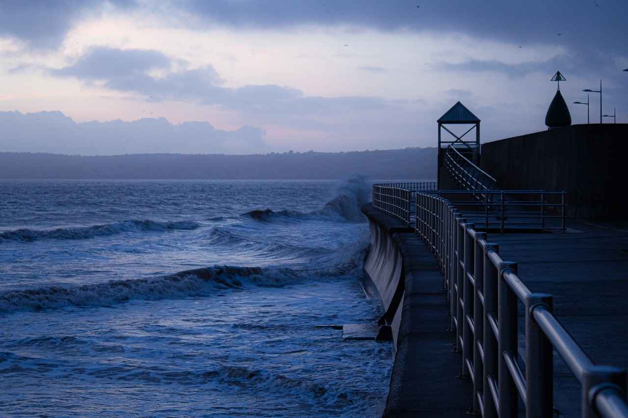Incorporating Sea Kelp into Your Diet