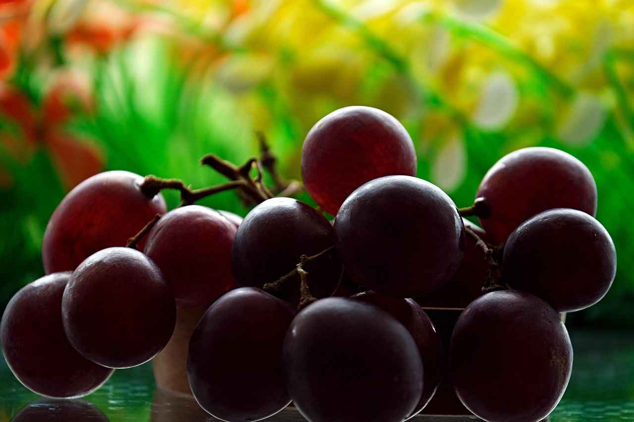 Supplementing with Vitamin B12