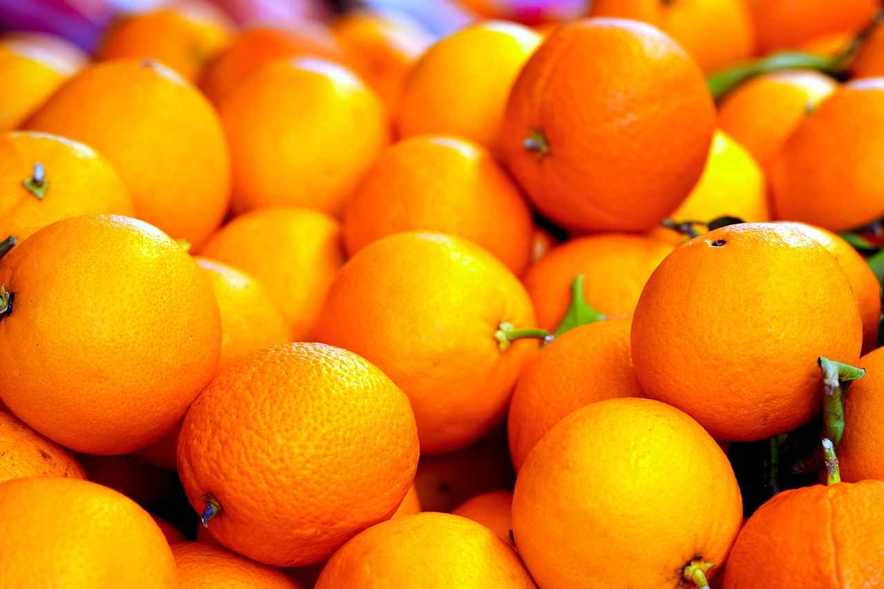 Conclusion: The Importance of Vitamin B12