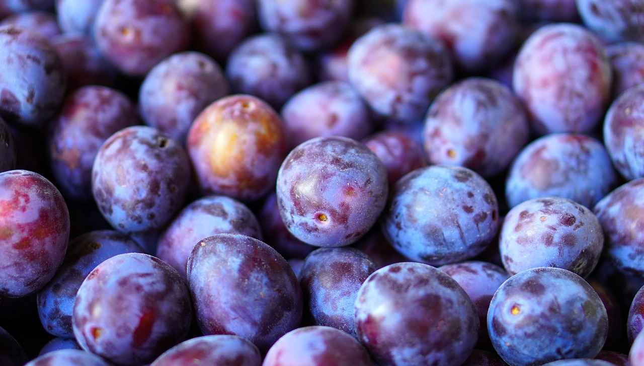 The Importance of Vitamin A for Eye Health