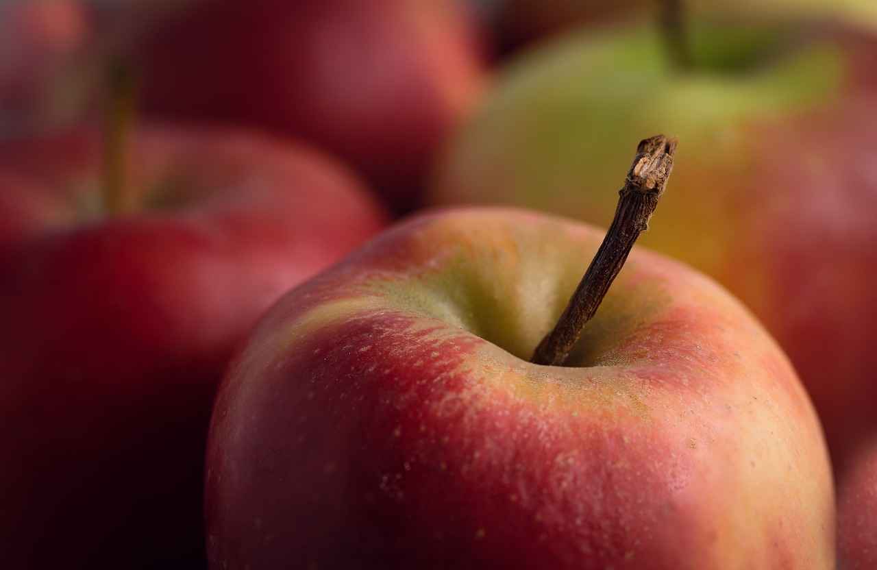 The Recommended Daily Allowance (RDA) for Vitamin A